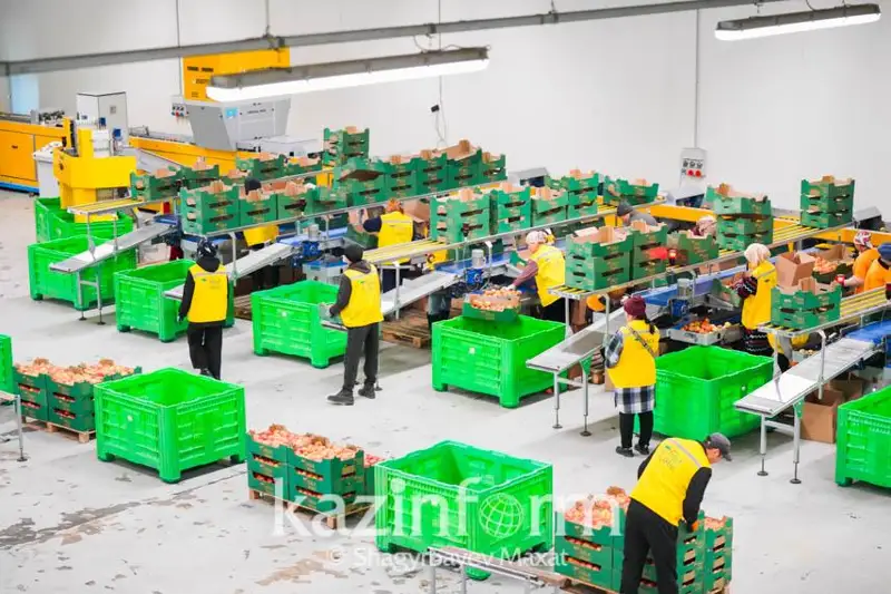 До 50% затрат будут возмещать строителям овощехранилищ в Казахстане