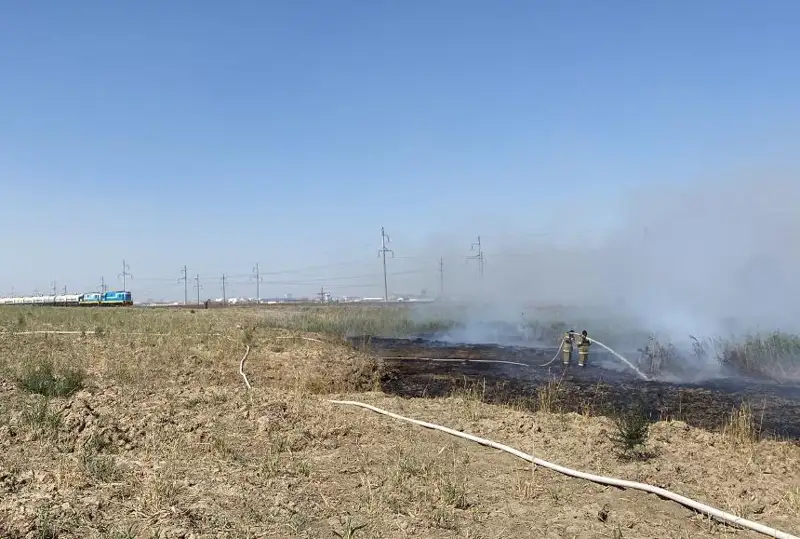Тростники загорелись в промышленной зоне Атырау