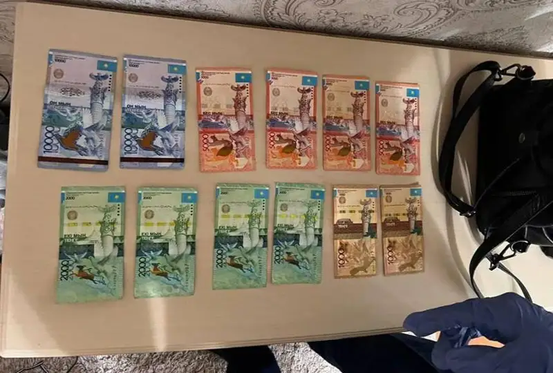 Qostanaıda jeńgetaı kolledj stýdentterin jezókshelikpen aınalysýǵa tartqan