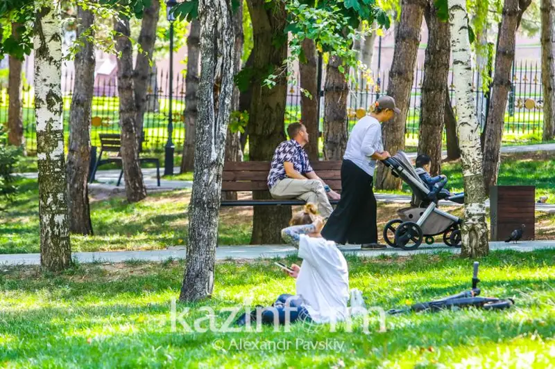 Общественник предложил пари Женису Касымбеку по озеленению города