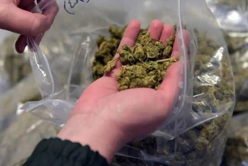 Более ста килограммов наркотиков обнаружили полицейские в гараже в Актобе