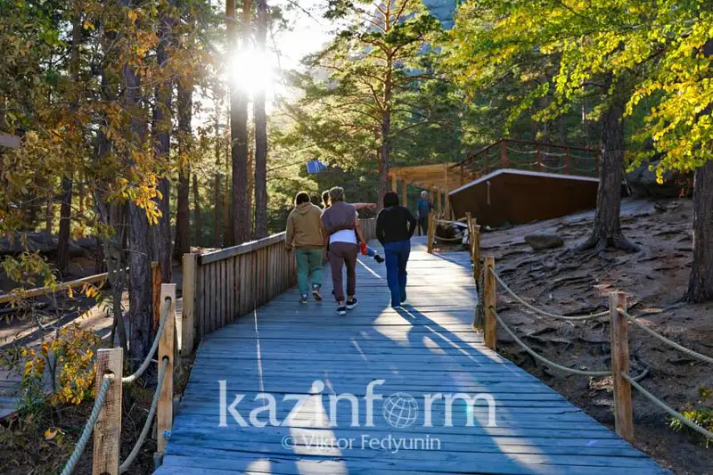 Как восстанавливают лес на территории природного парка «Бурабай»