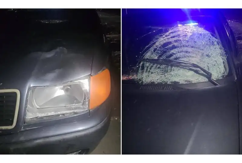 Мужчина погиб под колесами авто в Жаркенте