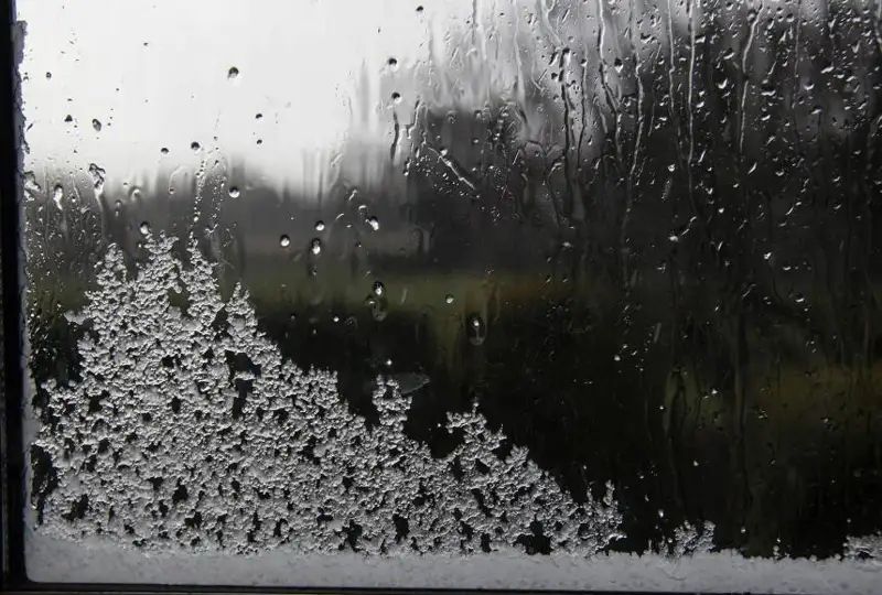 Мисрда қор ёғди