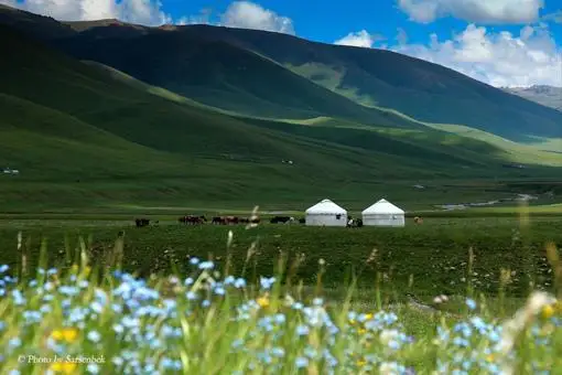 قاۋسىلقان قوزىباي ۇلى. «ءىسلامنىڭ قۇرداسى» - اڭگىمە