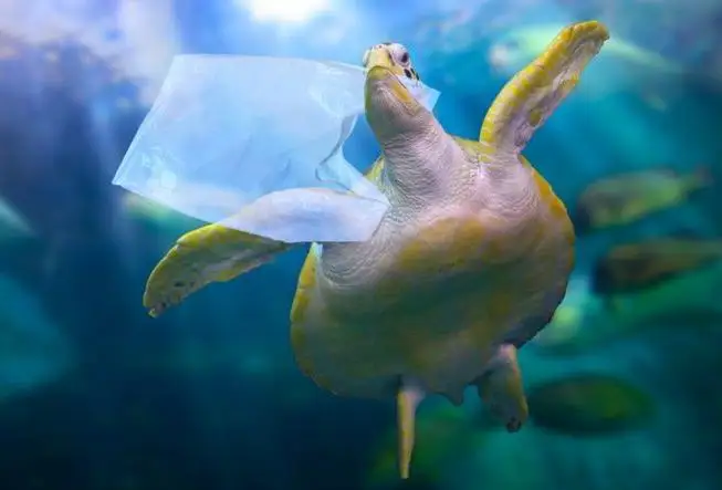 Количество пластика в Мировом океане достигло более 170 трлн кусков