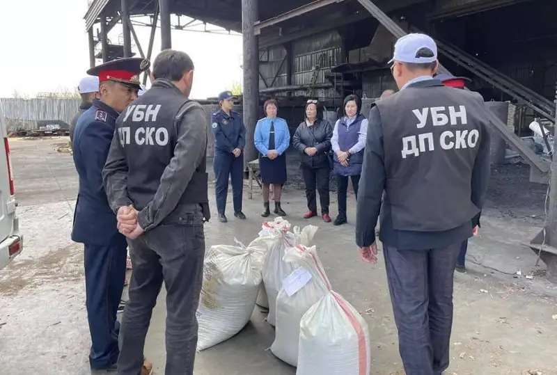 Рекордный вес марихуаны уничтожили в СКО