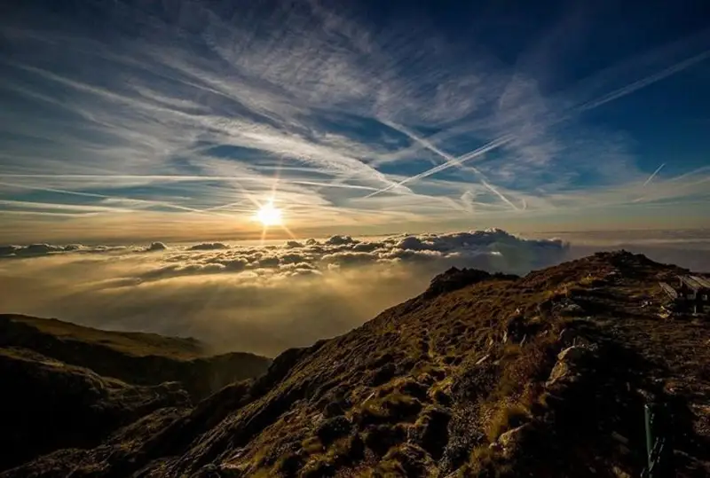 Рекордные температуры в ближайшие пять лет прогнозируют эксперты
