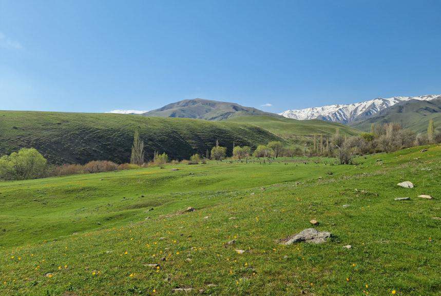 Жұлдызға қарсы зұлымдық порно