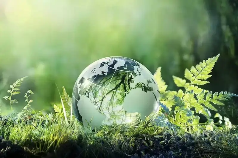 Жамбил вилоятида Бетпақдала давлат қўриқхонаси ташкил этилади