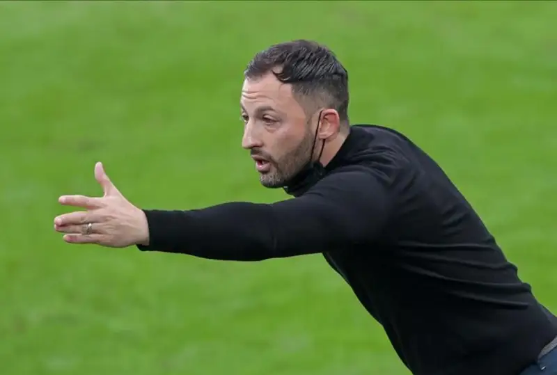 Бельгия футбол жамоасига бош мураббий тайинланди