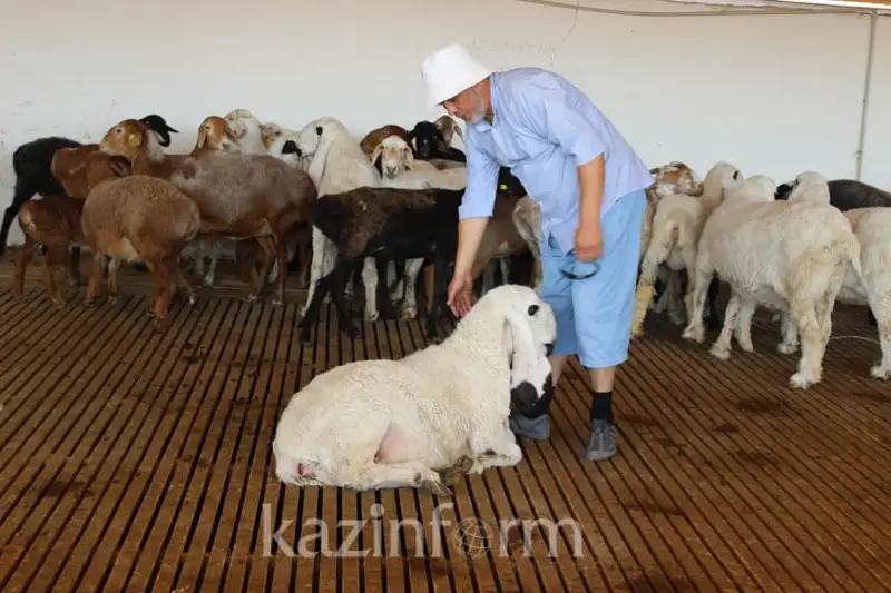 Места проведения жертвоприношения определили в Астане