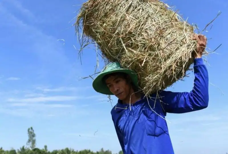 Рекордную жару в более 44С° зафиксировали в странах Юго-Восточной Азии