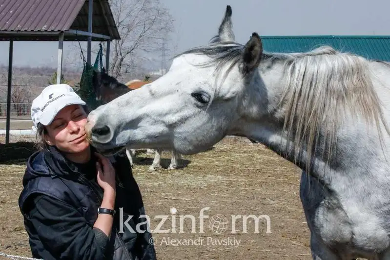 سەمەيدە  57 جىلقى سۋعا باتىپ ءولدى: شارۋا يەسى التىن قازۋشىلاردى كىنالاپ وتىر