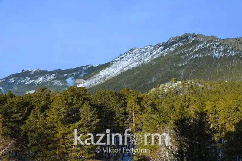 Инвестиции в охрану окружающей среды в Казахстане снизились за год на 50,8 %