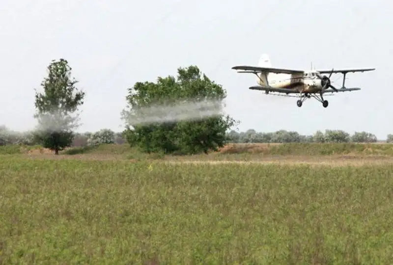МСХ о саранче в Костанайской области: Повреждений посевов сельхозкультур не отмечено