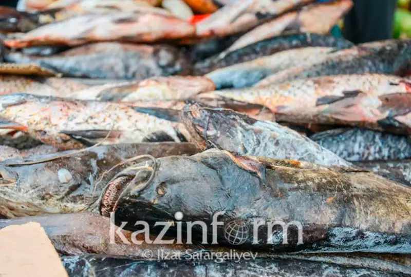 Глушили рыбу электрическим током: в Жамбылской области выявлен факт браконьерства