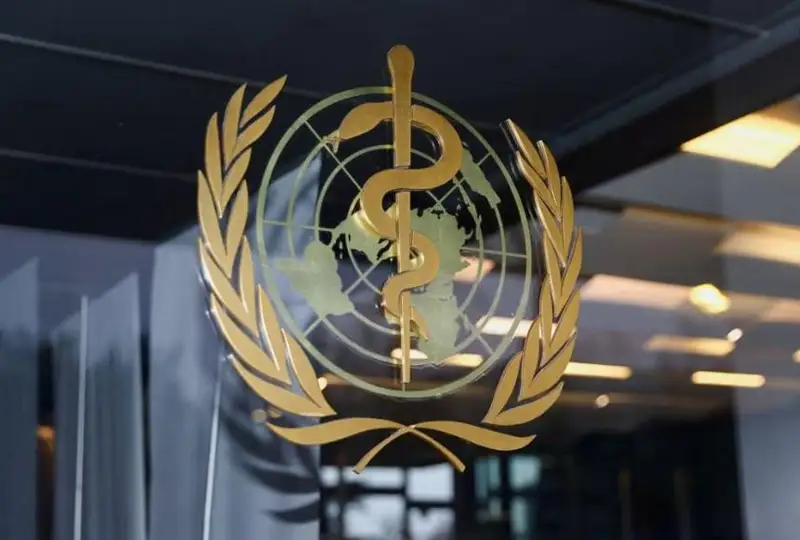 Первую в истории вспышку смертельного вируса Марбург зафиксировали в Экваториальной Гвинеи