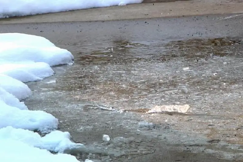 Талый сток формируется в районах СКО