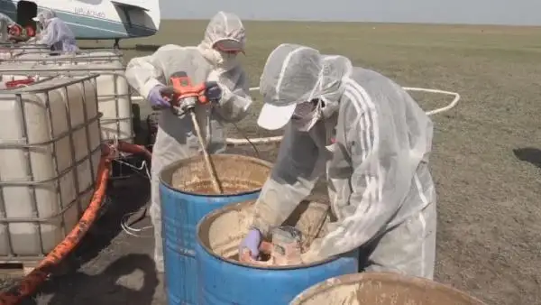 پاۆلوداردا شىبىن- شىركەيدى ۋلاۋ شارالارى ەرتە باستالادى