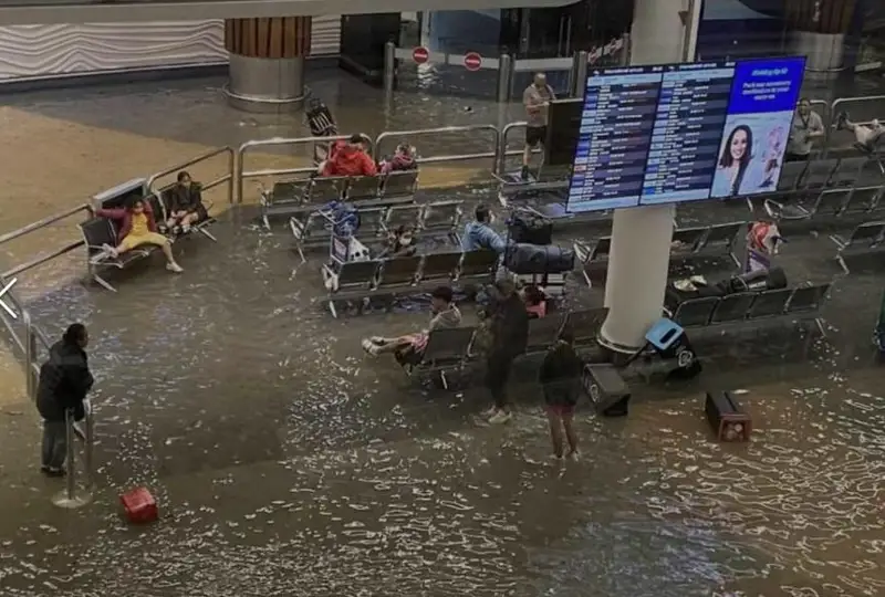 Четыре человека стали жертвами наводнений в Новой Зеландии