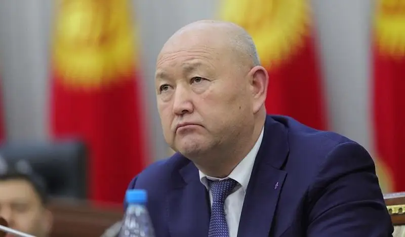 Экс-вице-премьер Кыргызстана задержан по обвинению в мошенничестве
