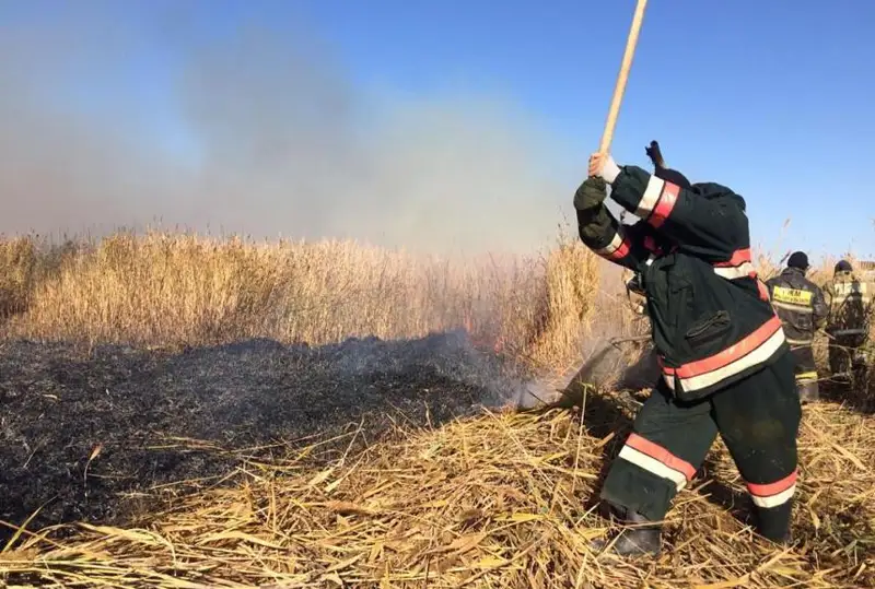 Ведутся усиленные меры по ликвидации возгорания на территории резервата «Акжайык»