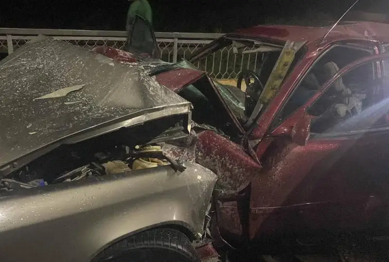 Jetisý oblysynda jol apatynan eki adam kóz jumdy: Rýlde jas bala bolǵan