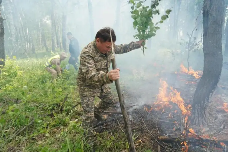 Zerendide orman órti sóndirildi
