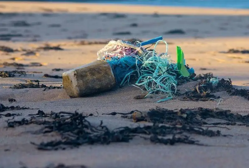 Загрязнение пластиком можно сократить на 80 процентов к 2040 году