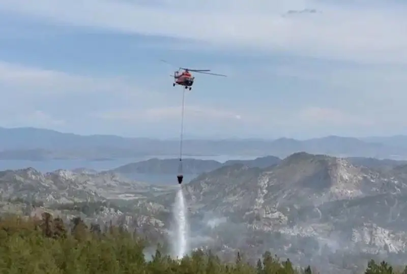 Лесной пожар​ в ВКО локализован