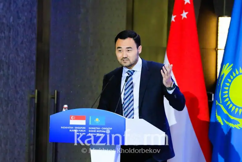Almaty men Qonaev arasynda arnaıy ekonomıkalyq aımaqty Sıngapýr kompanııasy jobalap jatyr