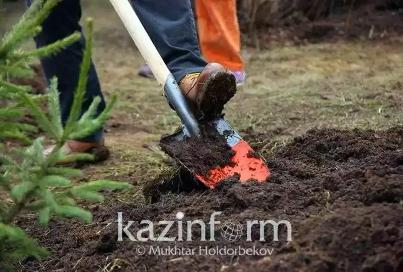 Bıyl Qazaqstan aýmaǵynda 410 mln túp aǵash otyrǵyzylady