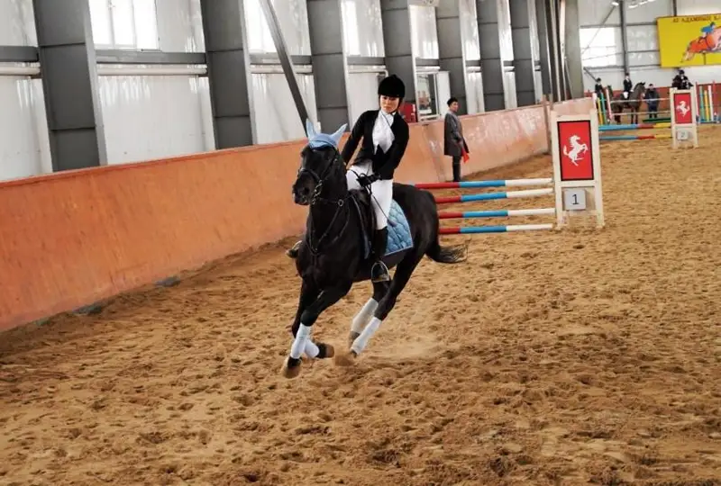 Кубок единства народов по конному спорту разыграют в Астане