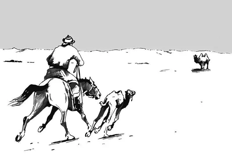 جورعا سىنىنىڭ ءبىر ءتۇرى - بوتا قايىرۋ