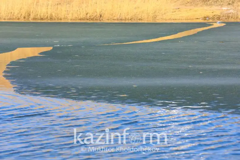 Двух детей чуть не унесло течением реки в Алматинской области