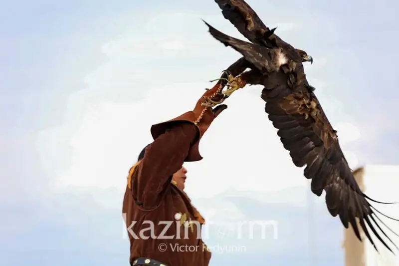 Лучшие беркутчи определились на XIV чемпионате по национальному виду спорта «Құсбегілік»