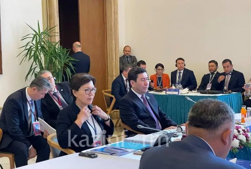 Túrki elderi Parlamenttik Assambleıasy Ankara deklaratsııasyn qabyldady