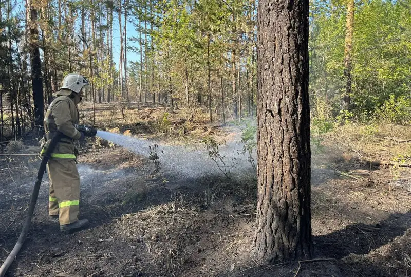 اباي وبلىسىنداعى ورمان ءورتى وقشاۋلاندى