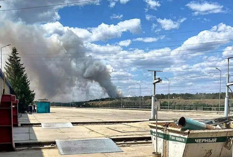 ءورت قايتا ءورشىدىمە: ت ج م اباي وبلىسى ماڭىنداعى قويۋ تۇتىنگە تۇسىنىك بەردى