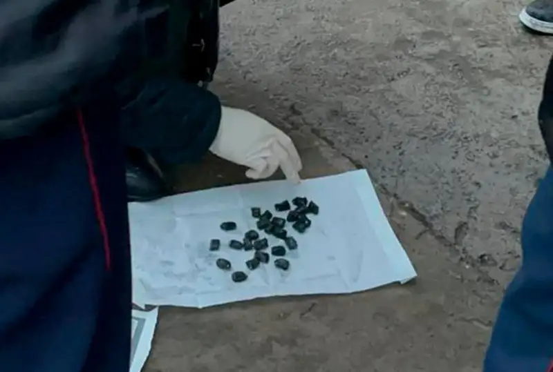 Наркокурьеры распространяли мефедрон в Шымкенте через Telegram