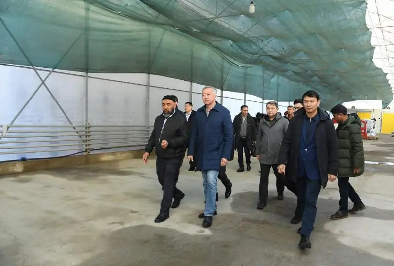 Túrkistan oblysyndaǵy jylyjaılardyń 90 paıyzynda qujat joq