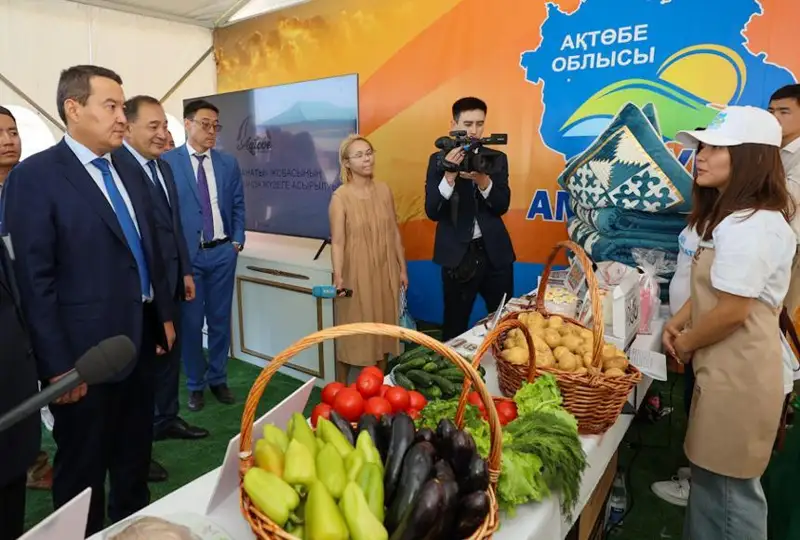 ҚР Бош вазири «Қишлоқ омонати» лойиҳасининг амалга оширилиши билан танишди