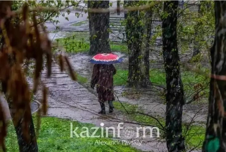 سينوپتيكتەر 6 وڭىردە ەسكەرتۋ جاريالادى