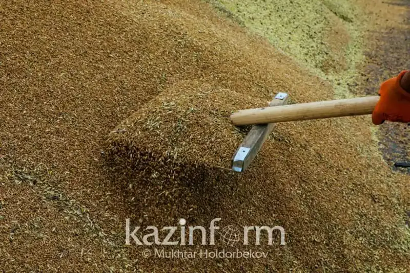 قازاقستان ارقىلى رەسەي استىعىن وزبەكستانعا ەكسپورتتاعاندار ۇستالدى