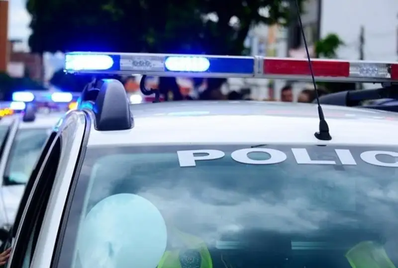 Пьяный водитель в Колорадо поменялся местами с собакой, чтобы избежать ареста