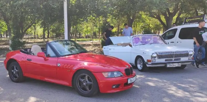 ەسكى رەتروكولىكتەر اتىراۋلىقتاردىڭ قىزىعۋشىلىعىن تۋدىردى - فوتو