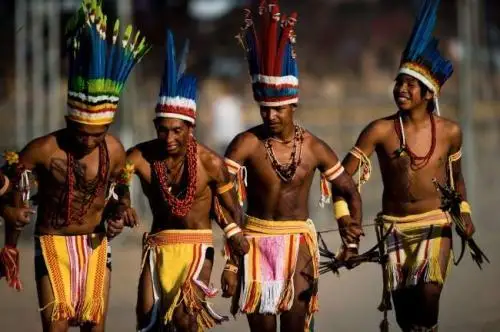 برازيليادا مىڭداعان ءۇندىس شەرۋگە شىقتى