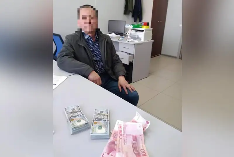 Попытки провоза иностранной валюты пресекли в Жетысуской области
