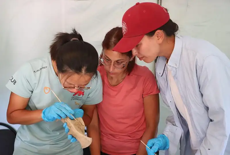 Древнее поселение и захоронение женщины бронзового века: о последних археологических раскопках в ВКО